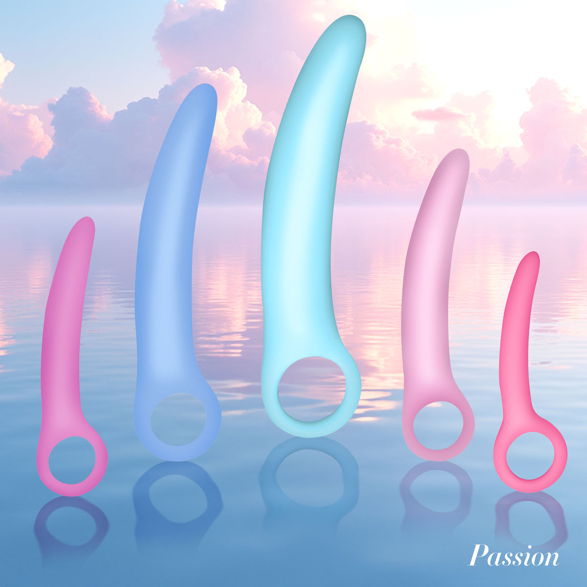 VITALITÉ kegel exerciser set