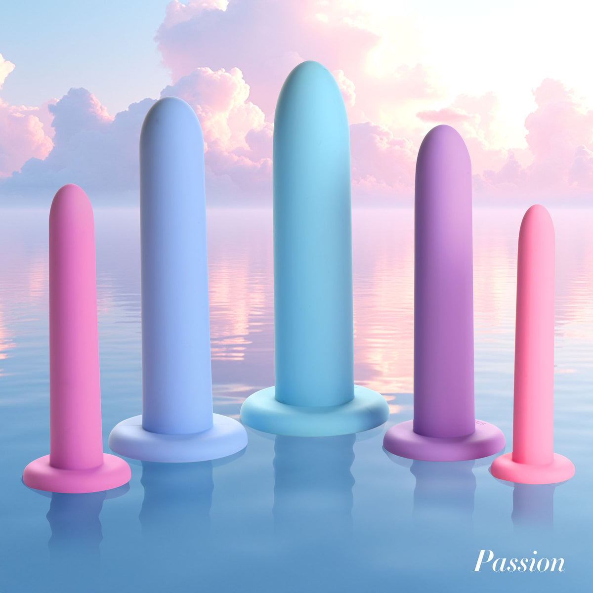 ÉQUILIBRE pelvic exerciser set